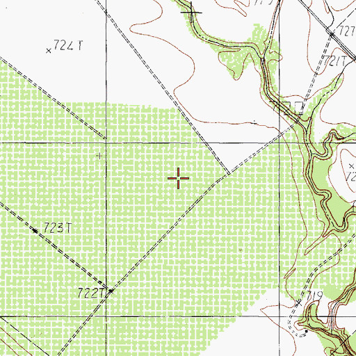 Topographic Map of Ritche Brothers, TX