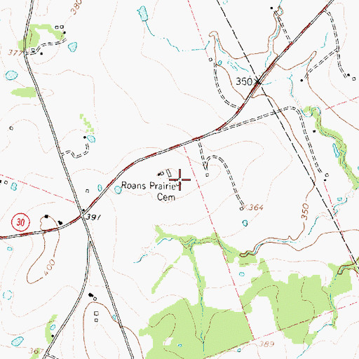 Topographic Map of Roans Prairie Cemetery, TX