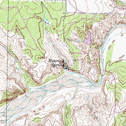 Topographic Map of Roaring Spring, TX