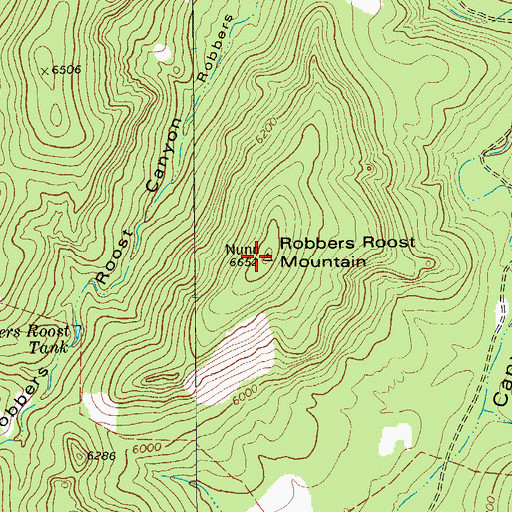 Topographic Map of Robbers Roost Mountain, TX
