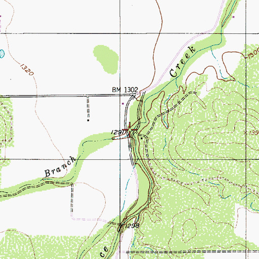 Topographic Map of Robbins Branch, TX