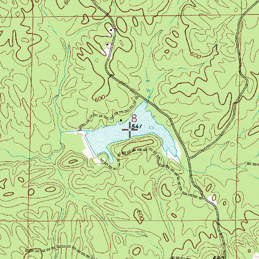 Topographic Map of Brantley Lake, AL