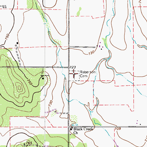 Topographic Map of Roberson Cemetery, TX