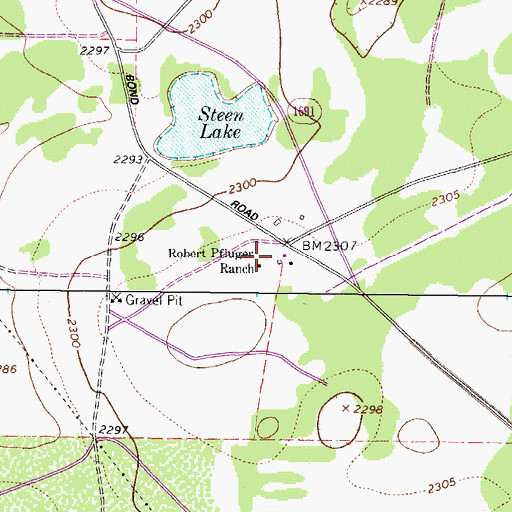 Topographic Map of Robert Pfluger Ranch, TX