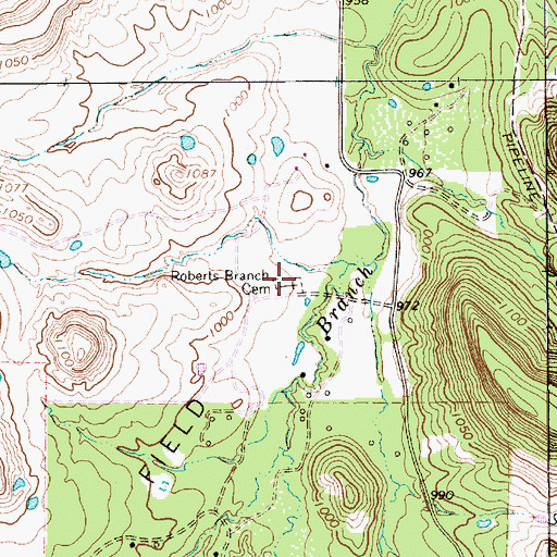 Topographic Map of Roberts Branch Cemetery, TX
