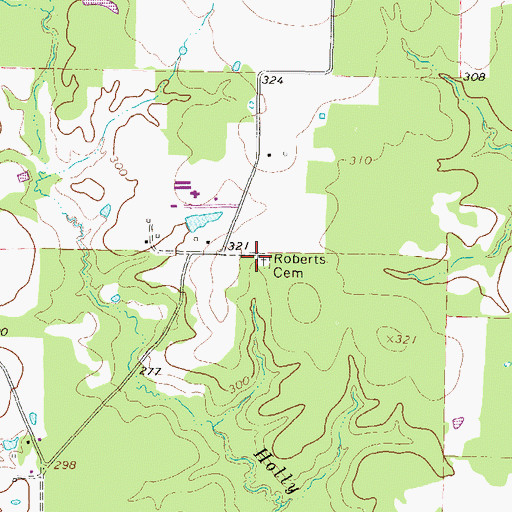 Topographic Map of Roberts Cemetery, TX