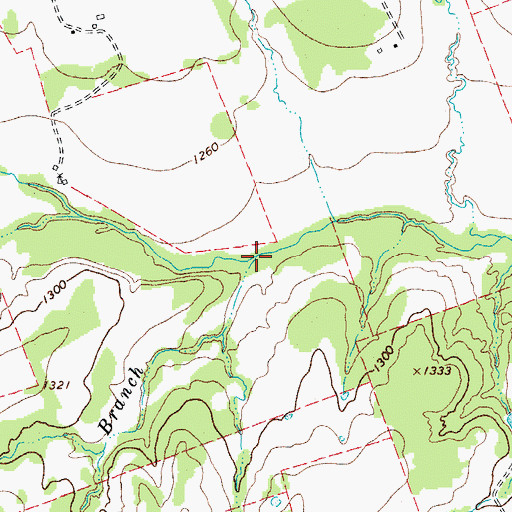 Topographic Map of Robinson Branch, TX