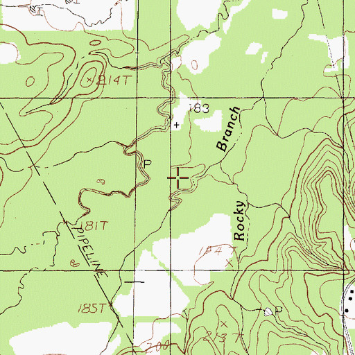 Topographic Map of Rocky Branch, TX