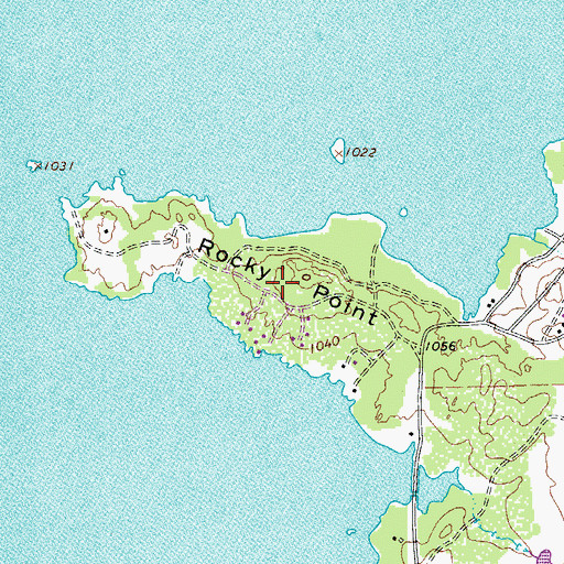 Topographic Map of Rocky Point, TX