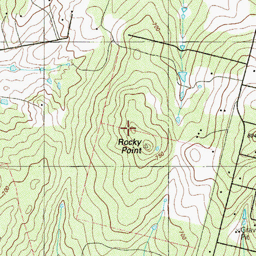 Topographic Map of Rocky Point, TX