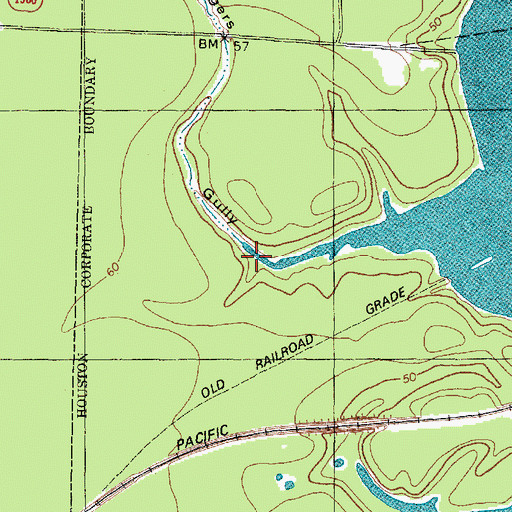 Topographic Map of Rogers Gully, TX