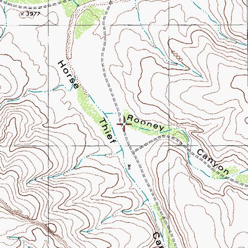 Topographic Map of Rooney Canyon, TX