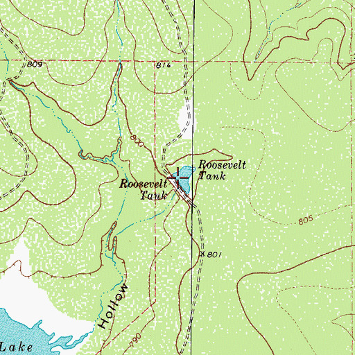 Topographic Map of Roosevelt Tank, TX