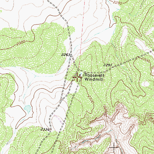 Topographic Map of Roosevelt Windmill, TX