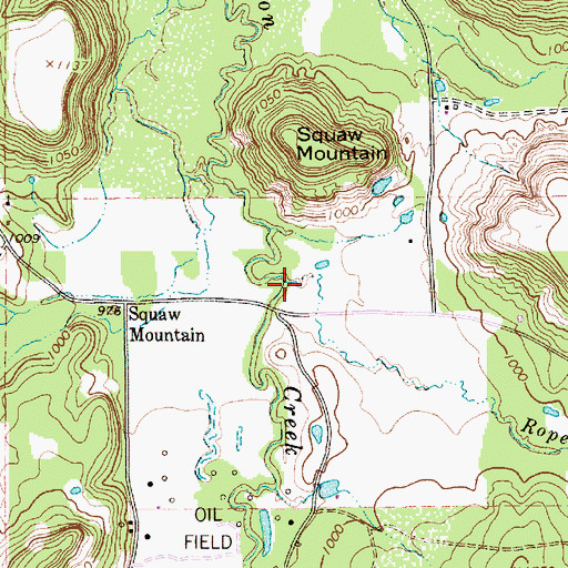 Topographic Map of Roper Branch, TX