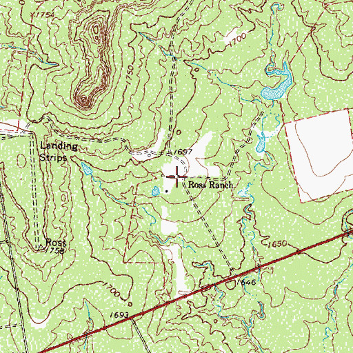 Topographic Map of Ross Ranch, TX