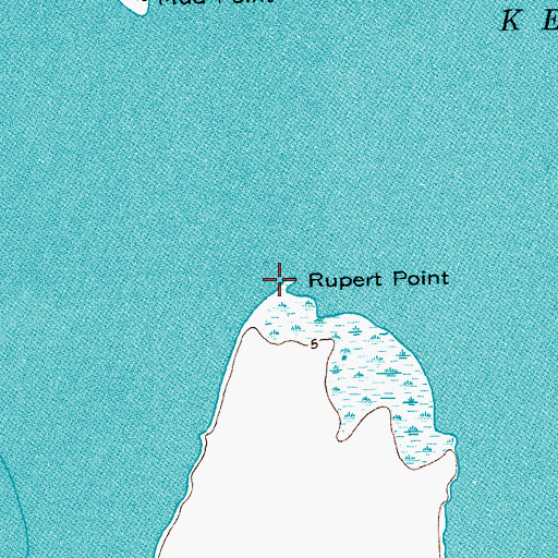 Topographic Map of Rupert Point, TX
