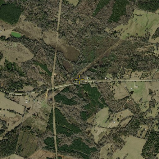 Aerial/Satellite Image of Russell Branch, TX