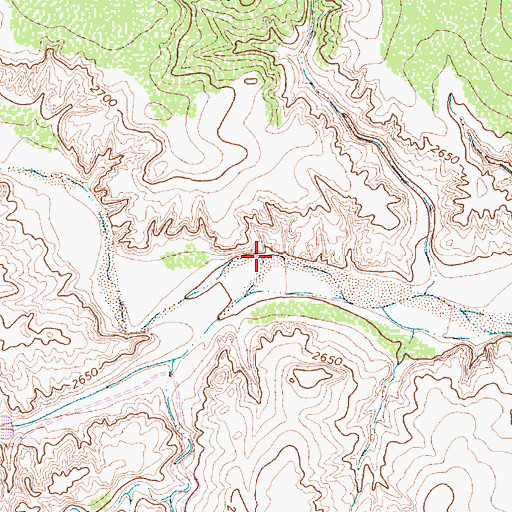 Topographic Map of Rustler Creek, TX