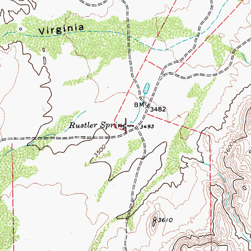 Topographic Map of Rustler Spring, TX