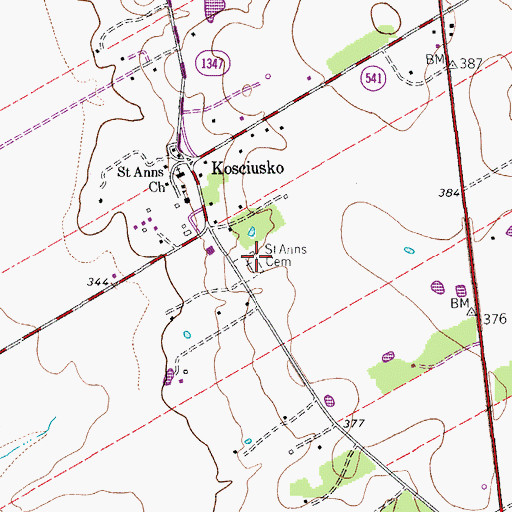 Topographic Map of Saint Anns Cemetery, TX