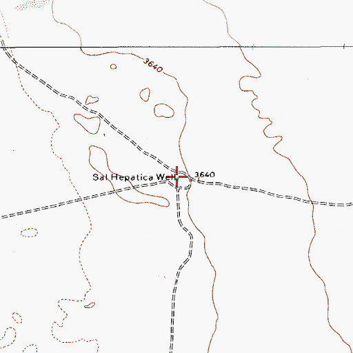 Topographic Map of Sal Hepatica Well, TX