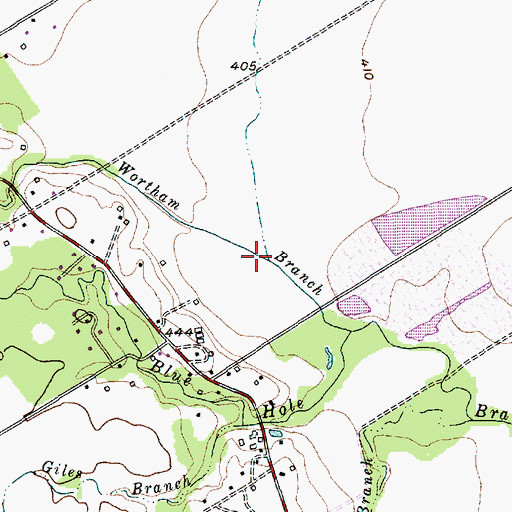 Topographic Map of Salem Branch, TX