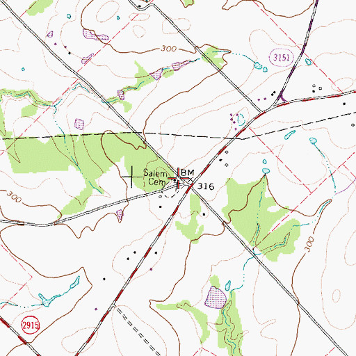 Topographic Map of Salem Cemetery, TX
