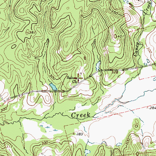 Topographic Map of Salem Church, TX