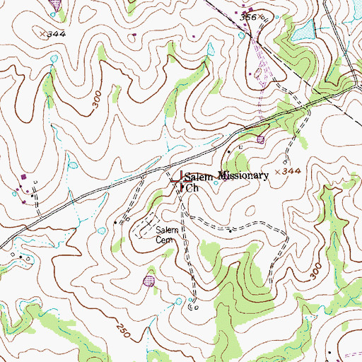 Topographic Map of Salem Missionary Church, TX