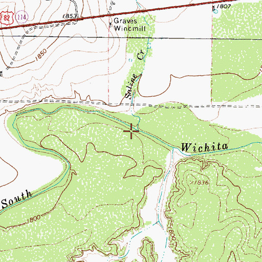Topographic Map of Saline Creek, TX