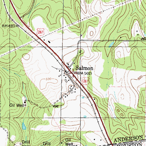 Topographic Map of Salmon, TX