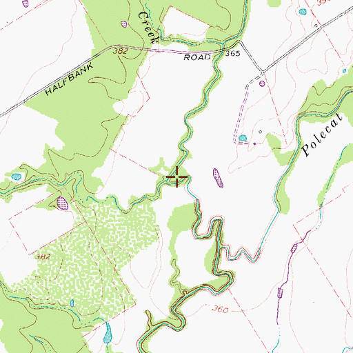 Topographic Map of Salt Branch, TX