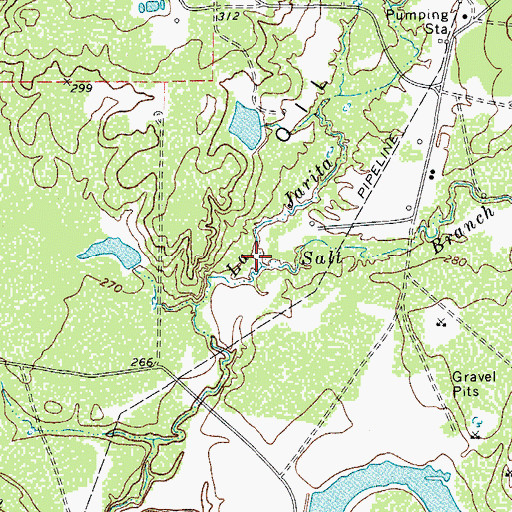 Topographic Map of Salt Branch, TX