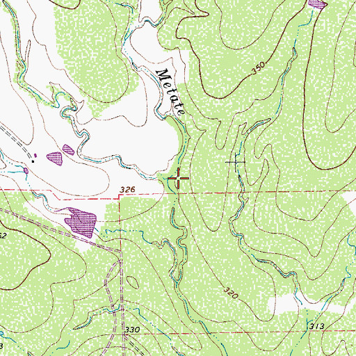 Topographic Map of Salt Branch, TX