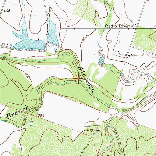Topographic Map of Salt Branch, TX