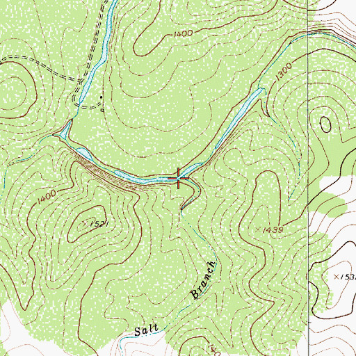 Topographic Map of Salt Branch, TX