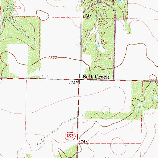 Topographic Map of Salt Creek, TX