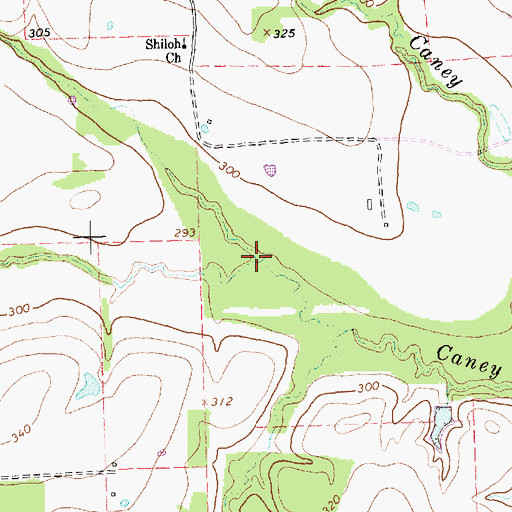 Topographic Map of Salt Creek, TX