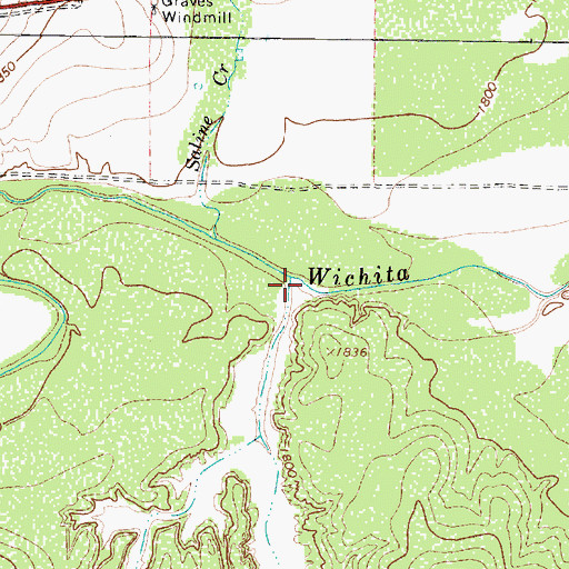 Topographic Map of Salt Creek, TX