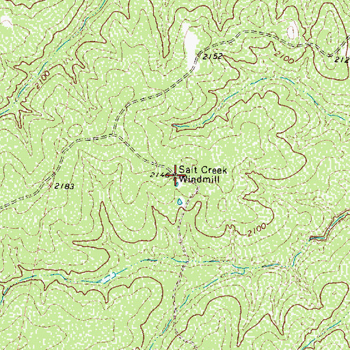Topographic Map of Salt Creek Windmill, TX