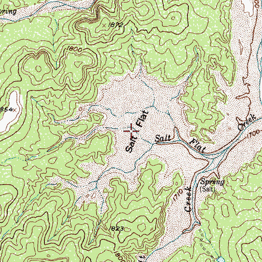 Topographic Map of Salt Flat, TX