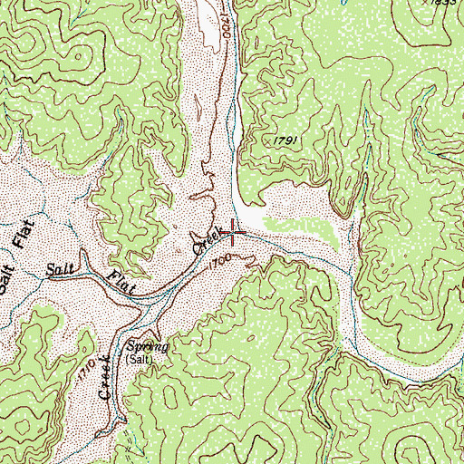 Topographic Map of Salt Flat Creek, TX
