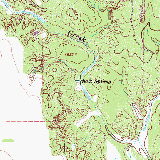 Topographic Map of Salt Spring, TX