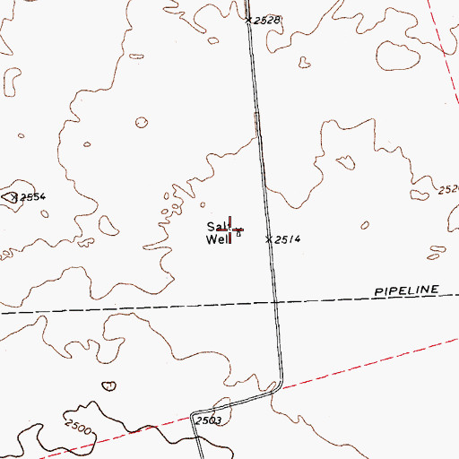Topographic Map of Salt Well, TX