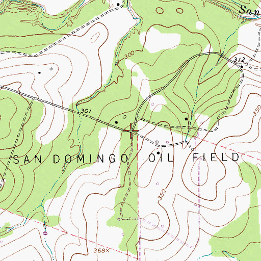 Topographic Map of San Domingo Oil Field, TX