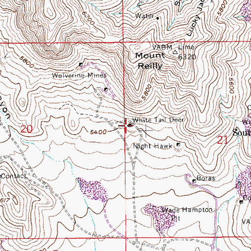Topographic Map of White Tail Deer, AZ