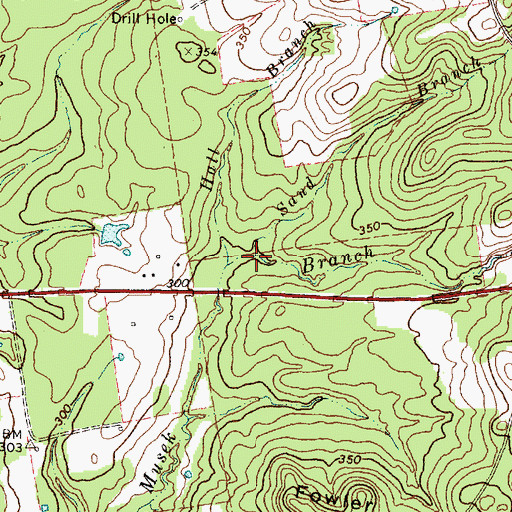 Topographic Map of Sand Branch, TX