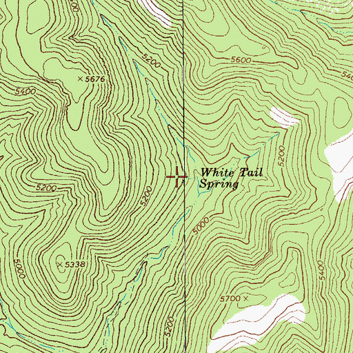 Topographic Map of White Tail Spring, AZ