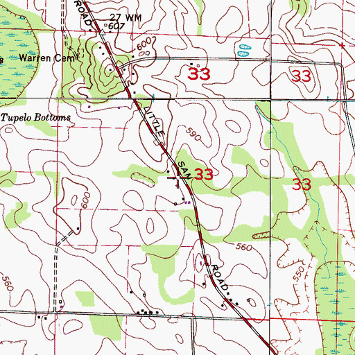 Topographic Map of Friendship Church, AL